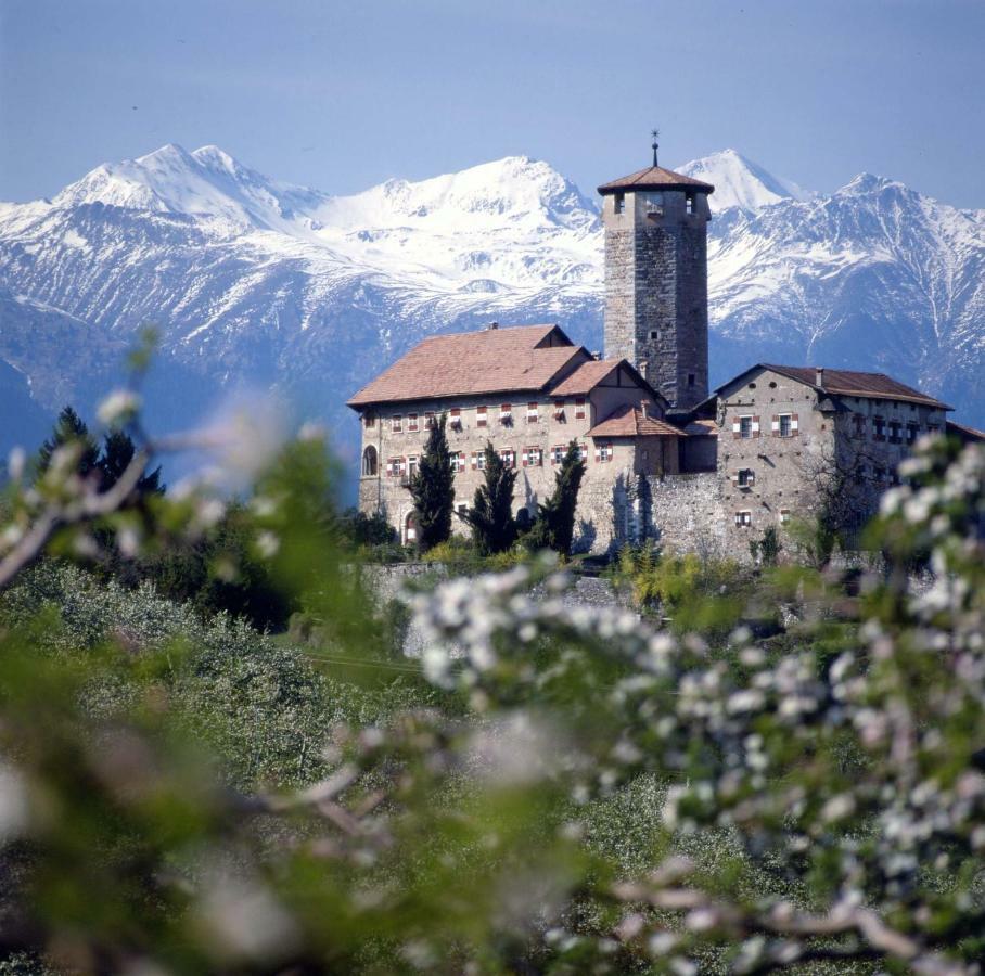 Cinzia Dolomiti Del Brenta Apartment Tassullo Exterior foto